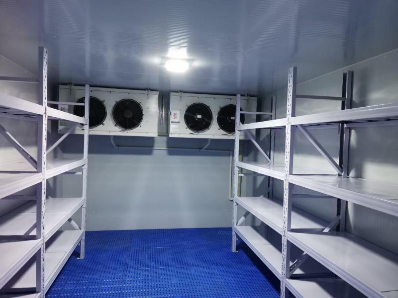 智慧冷链基石：冷库类型精准选择指南与应用场景深度解析