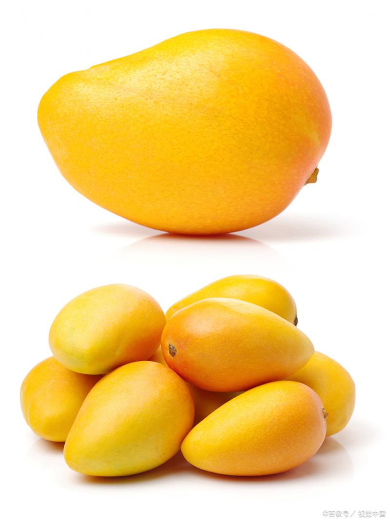 淮南芒果冷库：锁住热带鲜美的“时光胶囊”