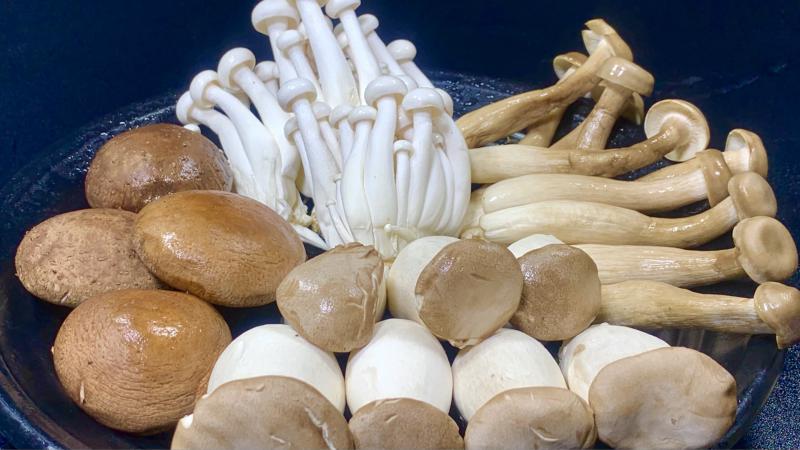 淮南菌菇冷库保鲜方式及建造温度